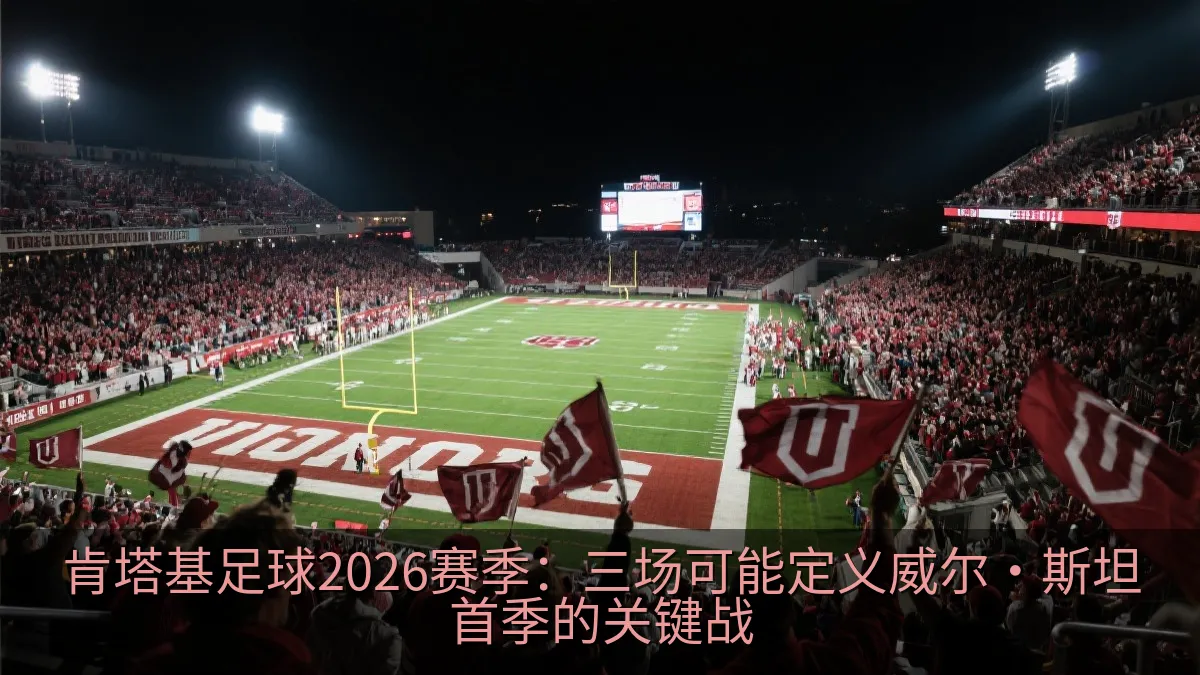 大学橄榄球比赛日的主场球场与热情观众