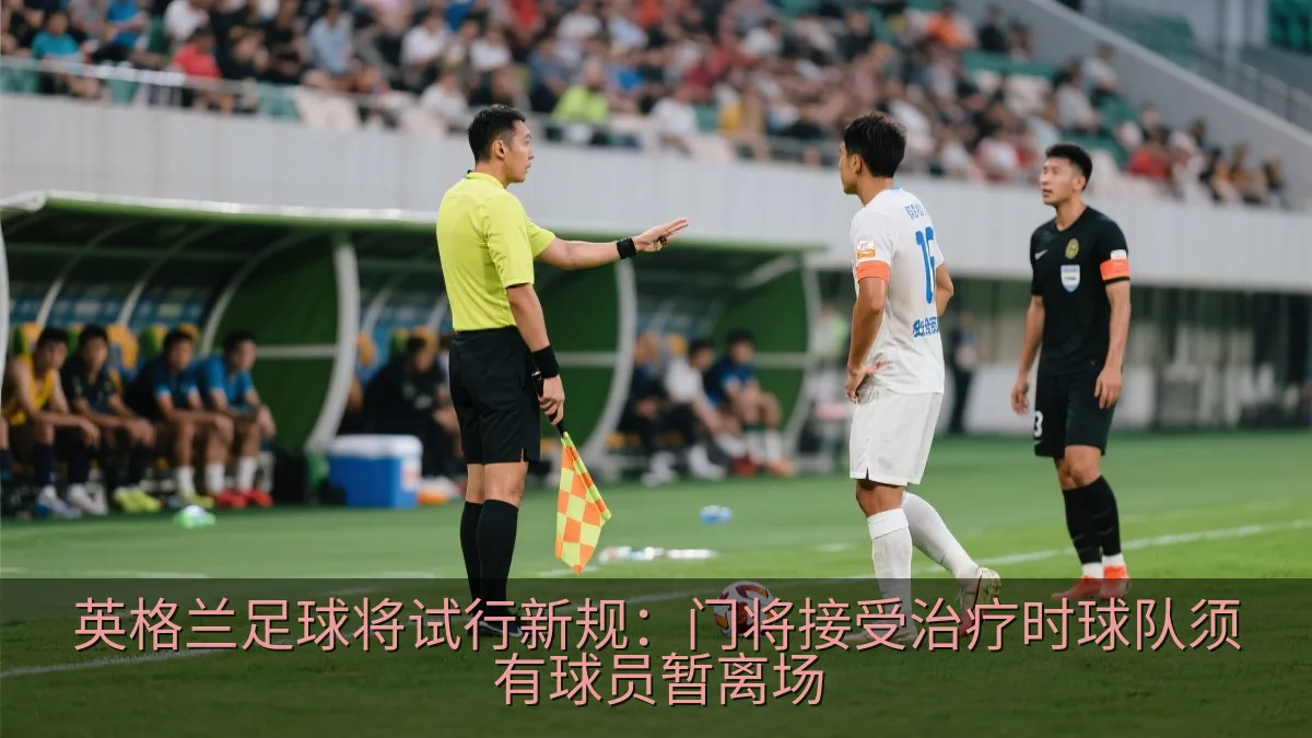裁判在足球比赛中与球员沟通比赛恢复安排